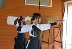 Japanese Archery