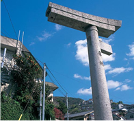 One-legged torii